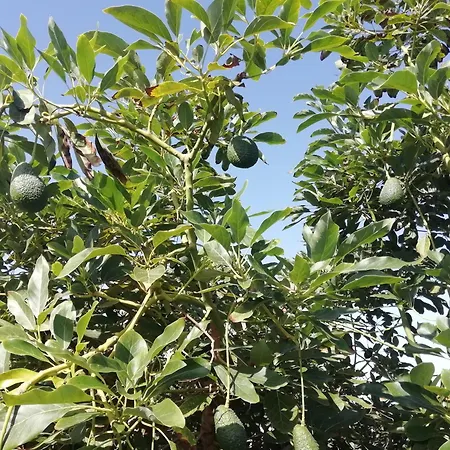 Σπίτι διακοπών Tapias, Casa Papin *